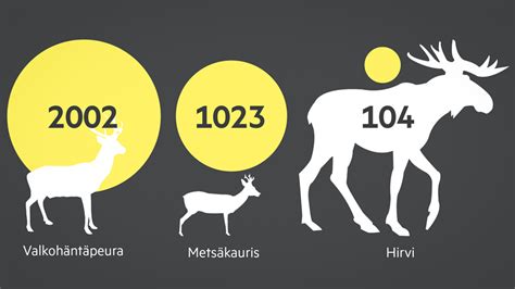 Muhennus: Äänimaisema, joka muuttaa ajat ja avaruusajatusta